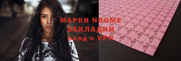 прущие грибы Абаза