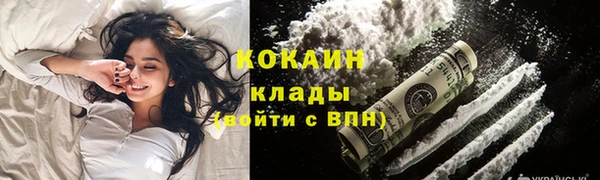 прущие грибы Абаза