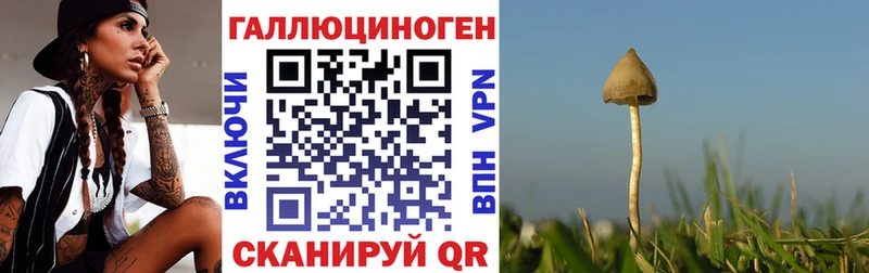 Псилоцибиновые грибы MAGIC MUSHROOMS  закладки  Эртиль 