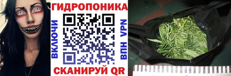 Конопля марихуана  где найти   Эртиль 